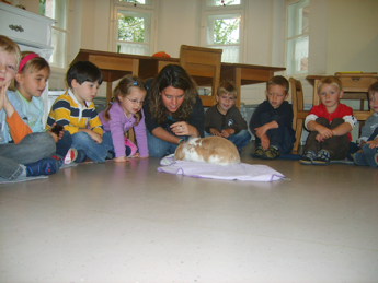 Kindergartenkinder mit Kaninchen